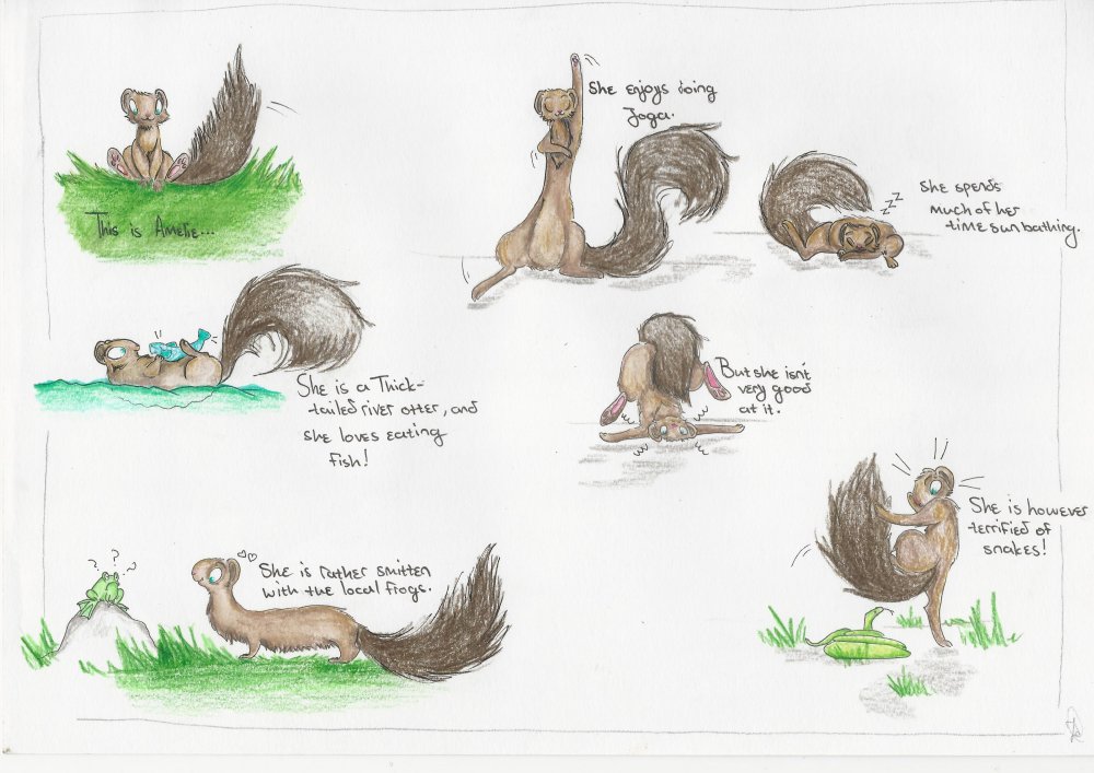 Zoe du Toit - Amelie_s show and tell